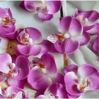 Artificial Phalaenopsis butterfly flower head wholesale