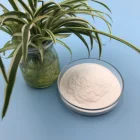 cement additive hpmc powder construction grade used in building industry