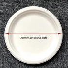 China biodegradable bagasse 10 inch plate, dinnerware set 260mm