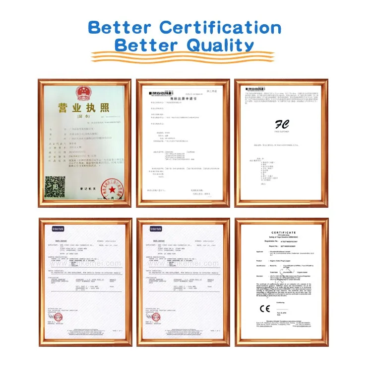 Top quality custom Pokemon go Mega Evolution plush toy