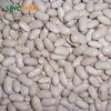 Large size dry white kidney bean