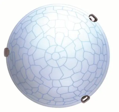factory supply elegant body ceiling light, ceiling lights ip20 led with CE certificate