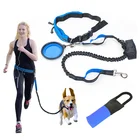 Reflective Durable Nylon Elastic Bungee Hands Free Pet Leash with Waterproof Lycra Waist Bag