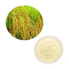 HONGDA Factory High Quality Rice Bran Extract Ceramide Natural Ferulic Acid
