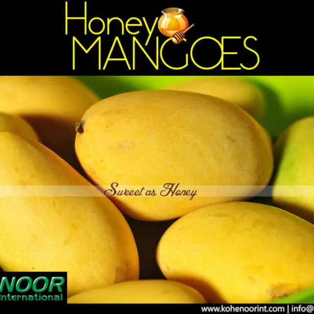 fruit fresh mangos