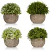 4 pcs Mini Potted Plants with Round Pots Small Artificial Succulents For Decoration Office Desk Home Succulent Plant Decor