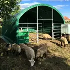 6 m Span 650gsm PVC Livestock Shelter/Portable Cattle Tent