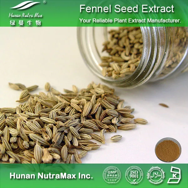 china fennel seed extract