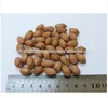 /product-detail/high-quality-healthy-raw-peanuts-runner-60400725760.html