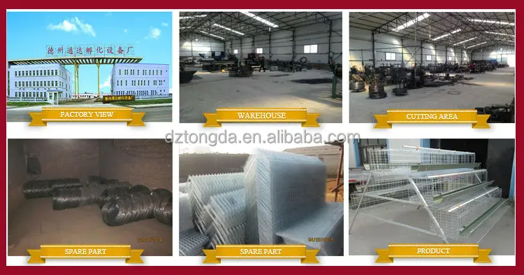 New design bird trap cage with great price