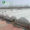 /product-detail/industrial-uv-plastic-transparent-greenhouse-poland-60737532986.html