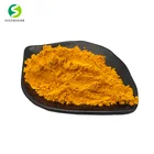 Free sample organic 95% turmeric extract powder, turmeric extract curcumin