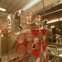 Well Designed Food New Packaging Machine