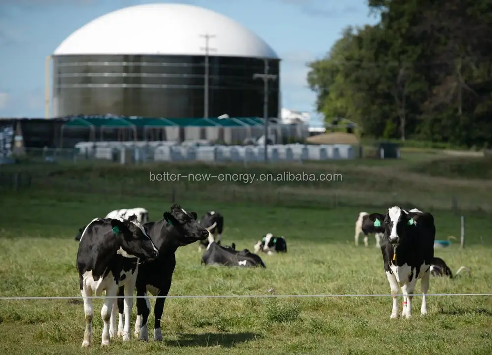 Integrated biogas digester with gas holder .jpg