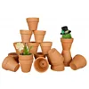 /product-detail/20-pcs-small-mini-clay-pots-2-1-mini-terracotta-pots-clay-ceramic-pottery-planter-cactus-flower-pots-succulent-nurse-wholesale-62014001297.html
