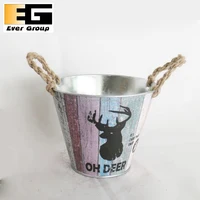 Mini Iron Flower Pots Home Garden