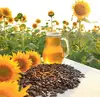 China Supplier Nature Sunflower Seed Extract Cold Pressed Carrier Oil