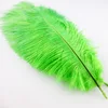 Live Plume Boa Top Forest Green Ostrich Feather