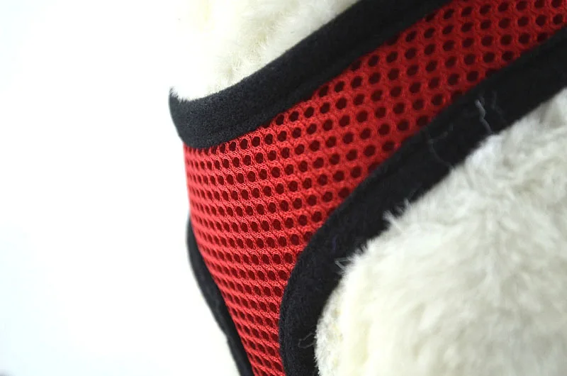 1307350737_973929501