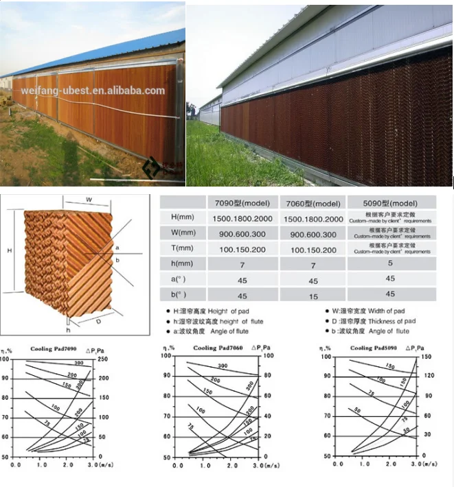 chicken coop for laying hens / dubai broiler farm chicken coop for sale