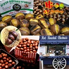 Fresh Chestnut Price Wholesale Chestnut Raw Sweet Fresh Chestnut Kernel