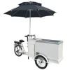/product-detail/outdoor-mobile-business-on-e-wheel-battery-powered-250watt-motor-ice-cream-beer-bike-with-cargo-box-60580783156.html