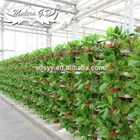 Vertical cultivation hydroponic systems agriculture greenhouse tower planter liner pots for strawberry