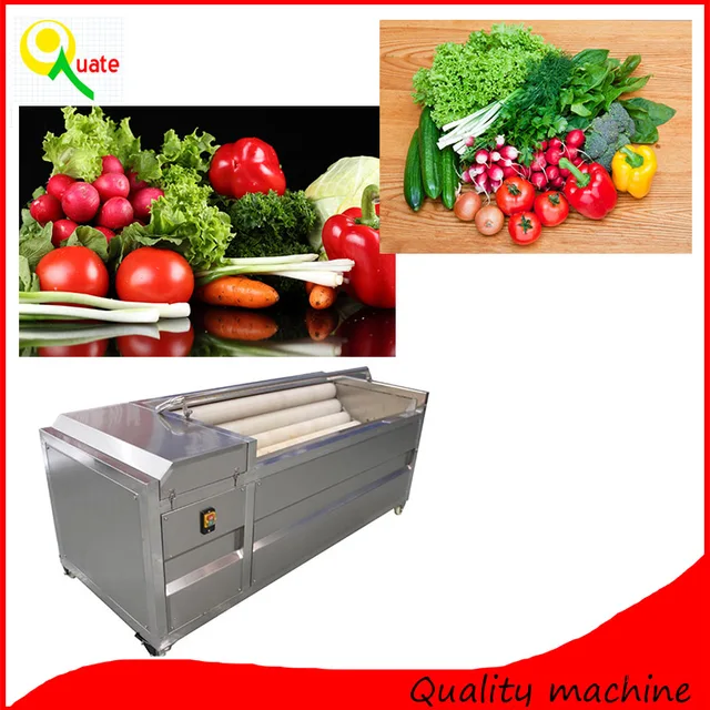 fruit machine,washingmachine stainless steel vegetable fruit washing machine/food washing
