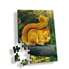Zebulun Customized Plastic 3D Cartoon Rectangle Shape Jigsaw Puzzle