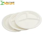 10 inch Disposable Biodegradable 3 Compartment Sugar Cane Bagasse Plates