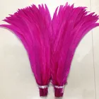 Top quality natural color pheasant feather carnival feather costumes for women