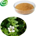 Health supplement decreases anxiety 20%bacopaside Bacopa Monnieri Extract