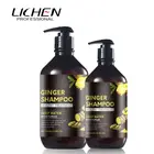 Private Label Argan Oil With Ginger Anti Hair Loss Shampoo And Conditioner Set For All Hair Types