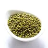 /product-detail/chinese-green-mung-beans-moong-dal-green-beans-62068972973.html