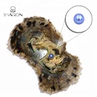 6-7mm Vacuum-packed Sea Blue Akoya Oyster With Natural Cultured Round Freshwater Pearl Wholesale Sale