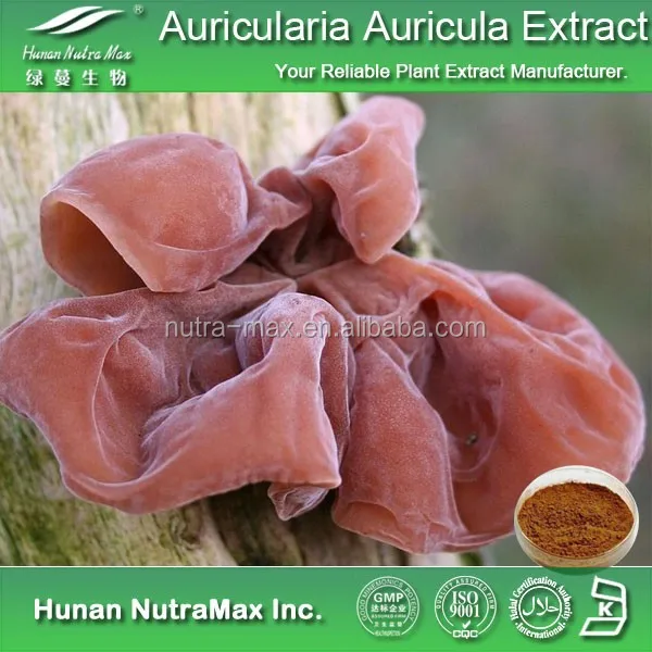 auricularia auricular powder