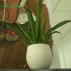 Small Plant Pot Plant Pot Small Cheap Small Size Mini Bonsai Vase Plant Pot Indoor Smart Garden Artificial Little Table Flower Pot Set For Hydroponics