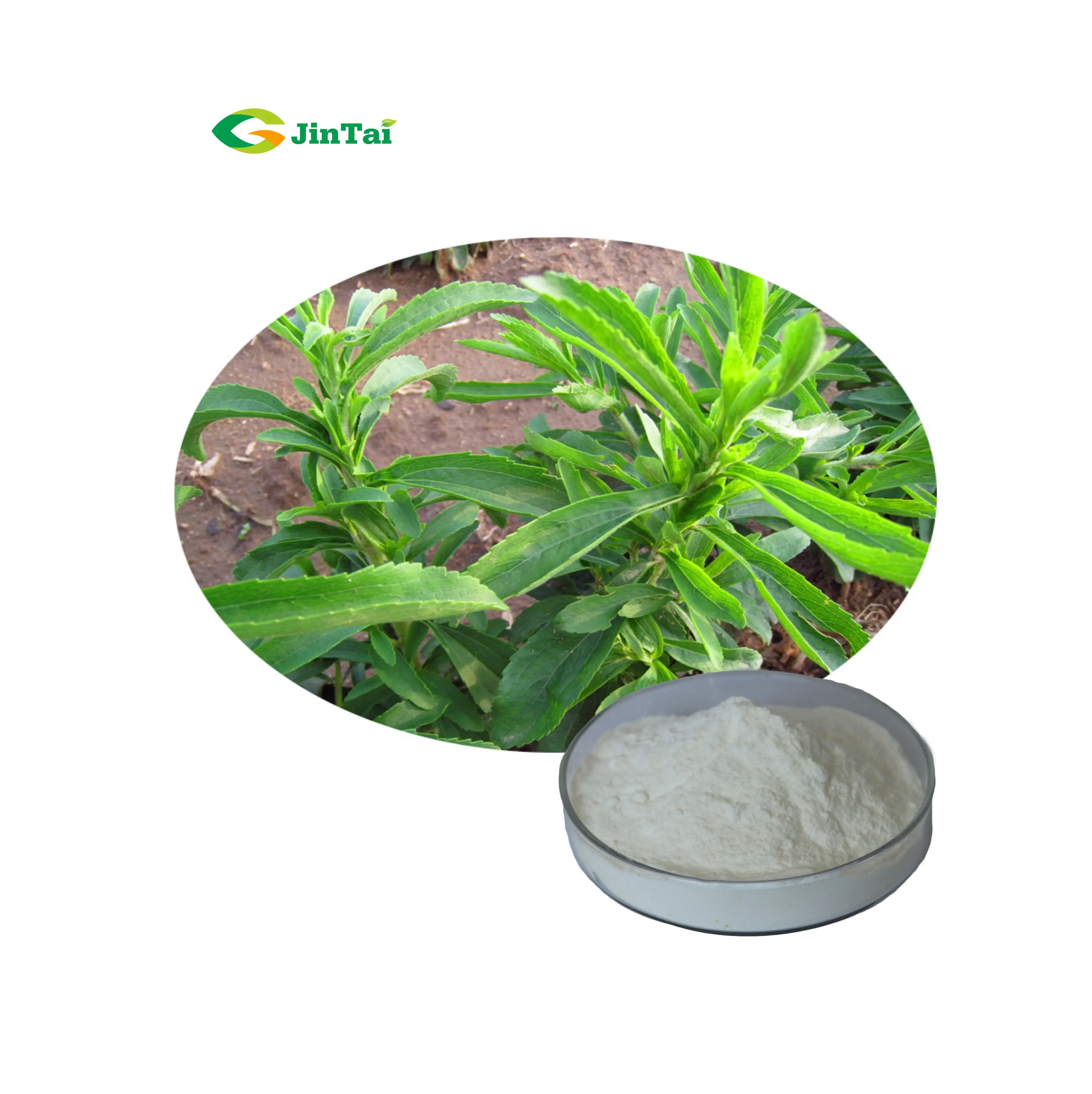 100 Pure Stevia Extract Powder Rebaudioside A Stevioside Ra 98 Buy