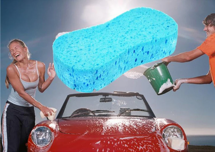 sponge.jpg