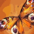 GX8212- 40*50 Wholesale diy art butterfly canvas oil painting for home decor