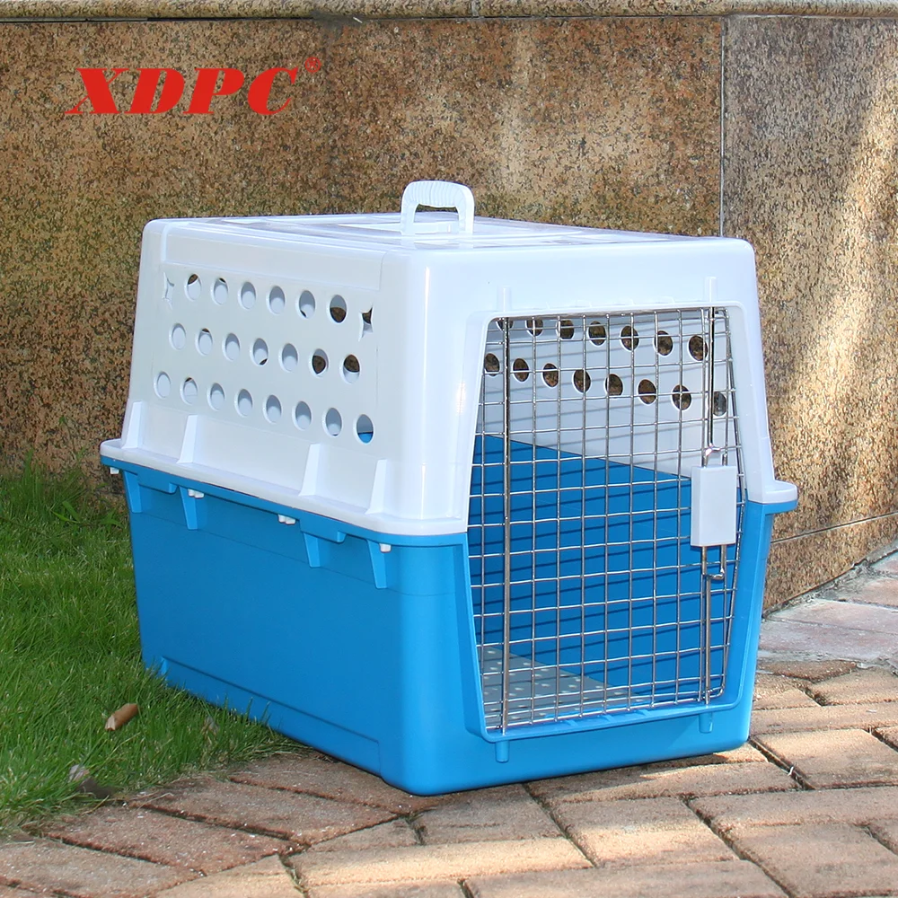 large dog transport cage