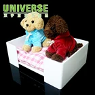 UNIVERSE Fashionable Decoration Clear Luxury Acrylic Dog Cat Bed