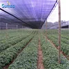 The wholesale price PE sun shade net for agriculture vegetables
