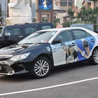 Latest Design Printing Beautiful Car Cutting Logo Sticker Car /Bus Body Advertising Sticker