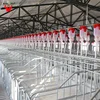 /product-detail/automatic-pig-farming-equip-pig-feeding-system-60791190936.html