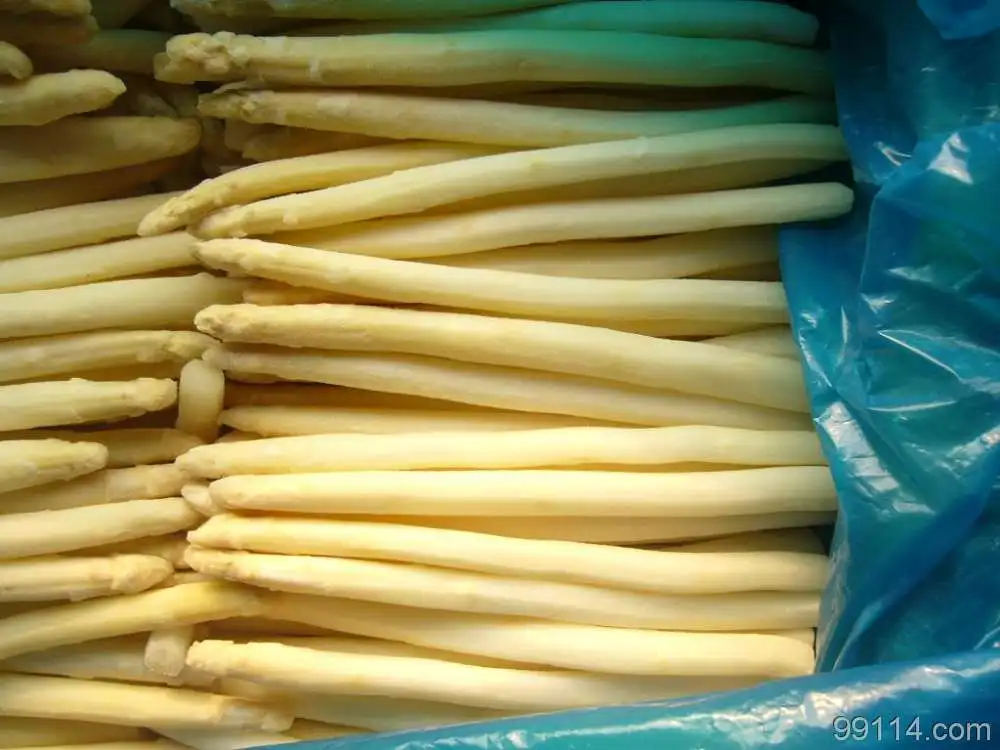 Hot Sale High Yield Excellent Quality Asparagus Seeds For Planting