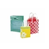 Clear ldpe package private label printed gift plastic bags