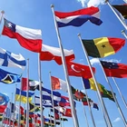 3 X 5 Ft Double Stitched National Flags Polyester 110gsm 100D woven polyester company logo flag