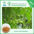 High quality Olive Leaf Extract 50% Oleuropein CAS NO. 32619-42-4