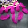 Feather Wholesale 10-15cm Dyed Rose Red Tailed Rooster Feather for party&wedding decorations